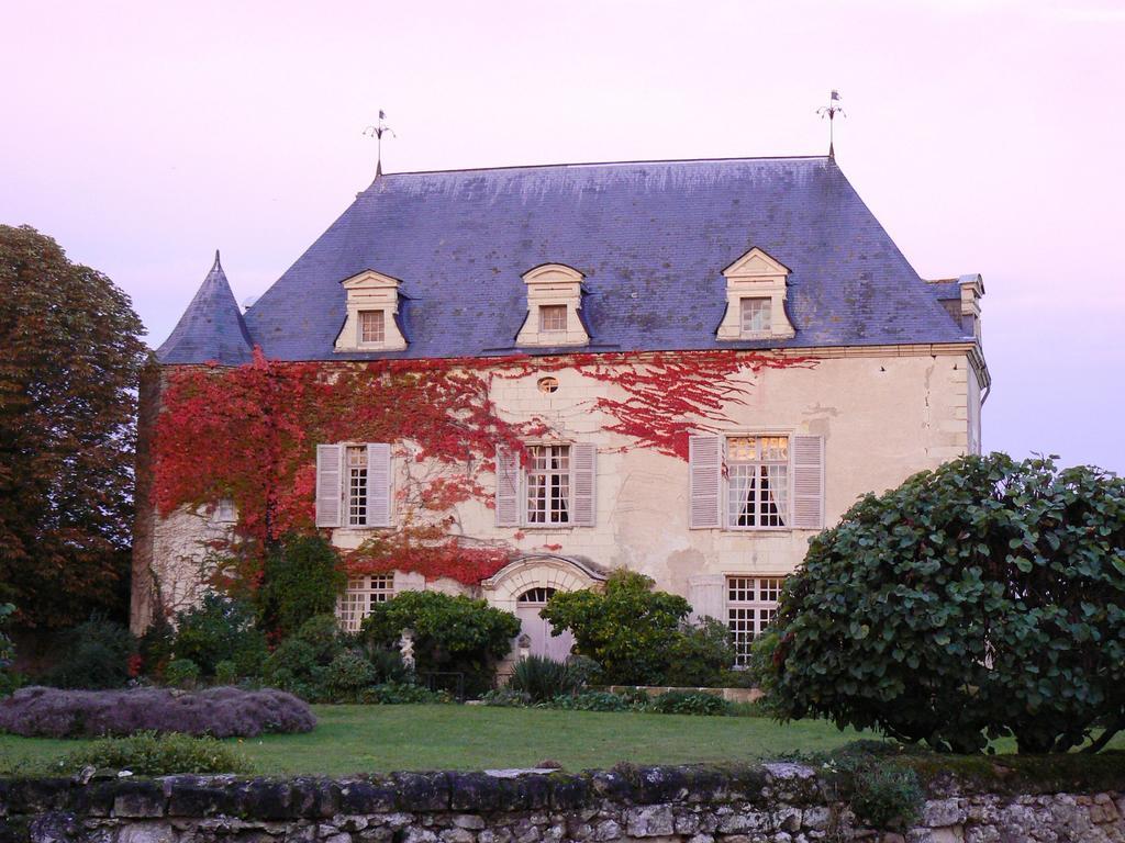 Gite Chateau De Chaintres Dampierre-sur-Loire Værelse billede
