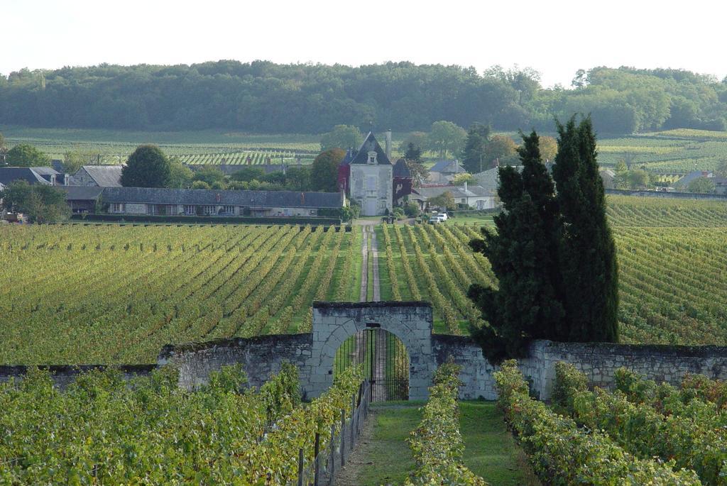 Gite Chateau De Chaintres Dampierre-sur-Loire Værelse billede